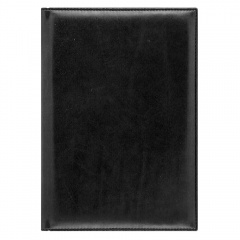   REINA 650U (5451) 145x205  , .   2023 .,  ,  -