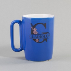   "Calypso_Gladiolus" 250 