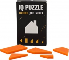  IQ Puzzle, 