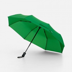 ���� �������� Monsoon, �������