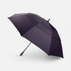 ����-������ Executive, ������