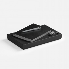 ����� Doppio Memory, ������ � �����