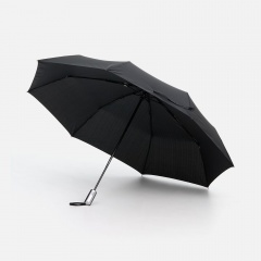 ���� �������� Fiber, ������