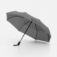 ���� �������� Monsoon, �����