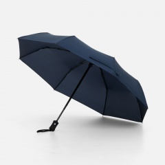���� �������� Monsoon, �����-�����