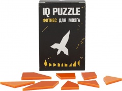  IQ Puzzle, 