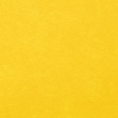    Felt S, 