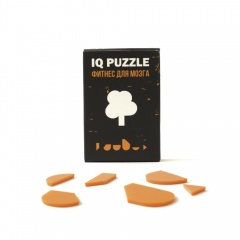  IQ Puzzle, 