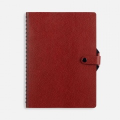 ���������� Strep Front, ��������������, �������