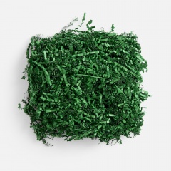 �������� ����������� Chip, �����-�������