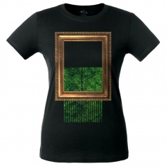   Evergreen Limited Edition