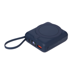     Ritter PD 10000mAh     15W, 