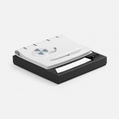 ����� Ringo, �����