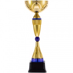 Awardee, , 