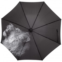 - Like a Lion