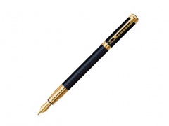   Perspective Black GT F