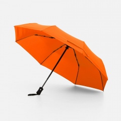 ���� �������� Monsoon, ���������