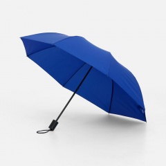 ���� �������� Rain Spell, �����