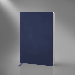 ������� � ������ ������� �5 Softy 2.0
