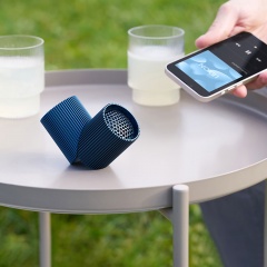 ������������ ������� Ray Speaker