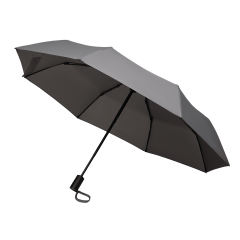 ���� �������� Passat, �����