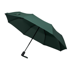 ���� �������� Passat, �������