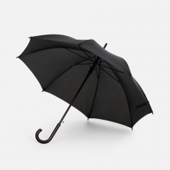 ����-������ Standard, ������