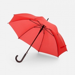 ����-������ Standard, �������