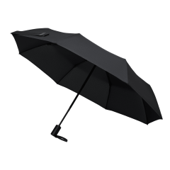 ���� �������� Passat, ������