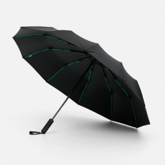 ���� �������� � ��-������� Ribstar, ������