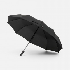 ���� �������� Regenfall, ������