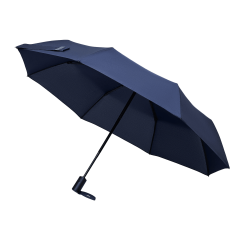 ���� �������� Passat, �����