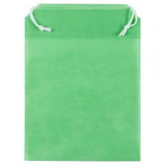 Пакет Smenka, зеленый